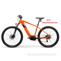 Mittlerer Motor E Mountainbikes